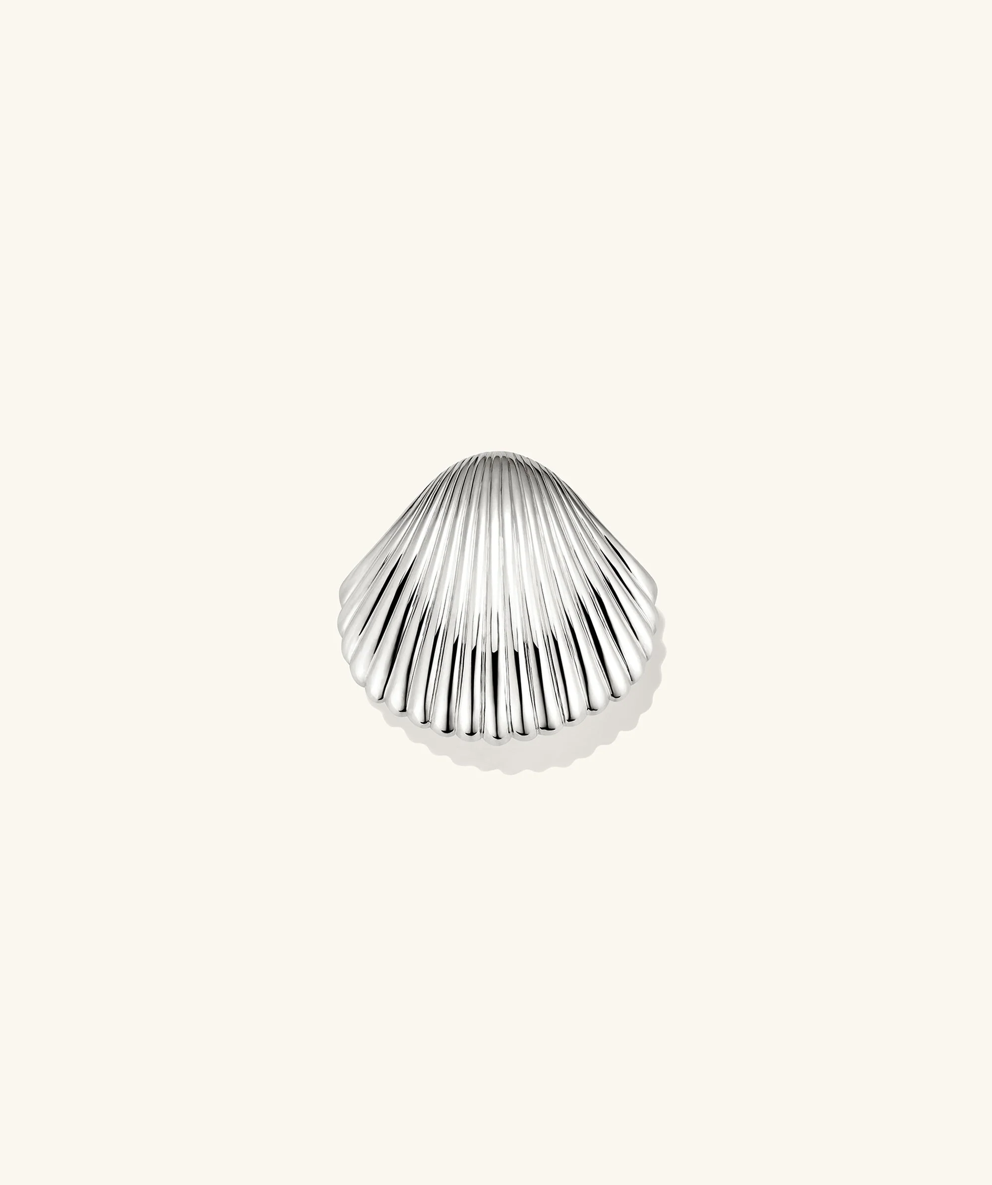 Amelia Seashell Brooch