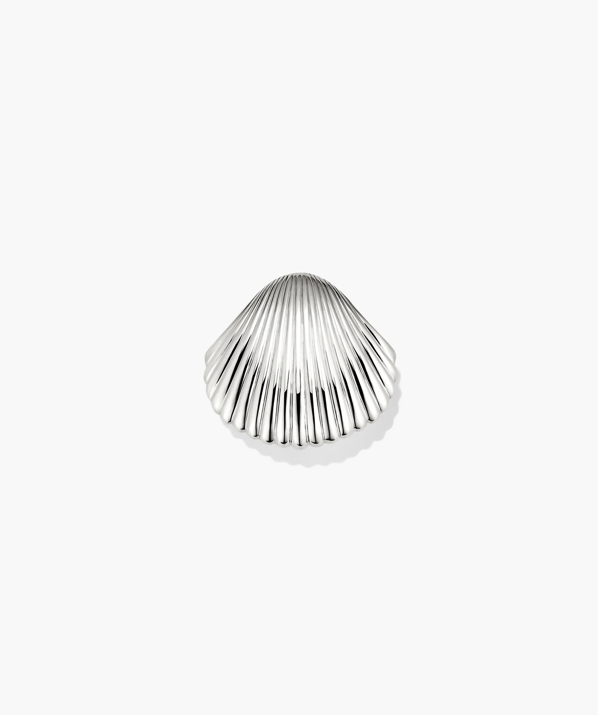 Amelia Seashell Brooch - Image 5