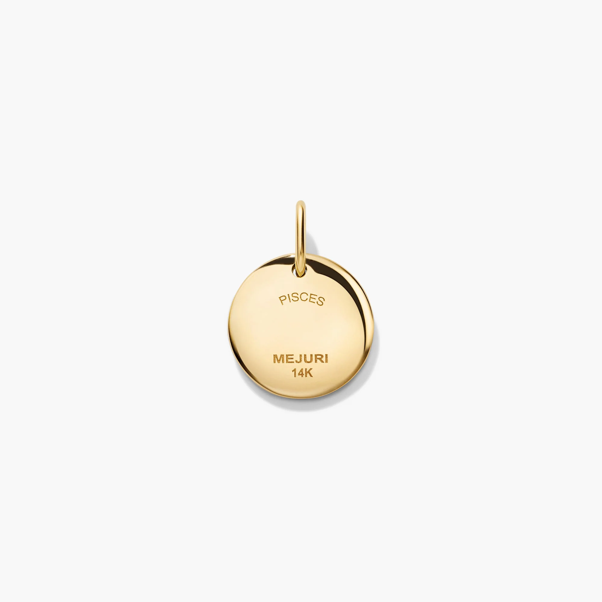 Zodiac Charm Pendant - Image 45