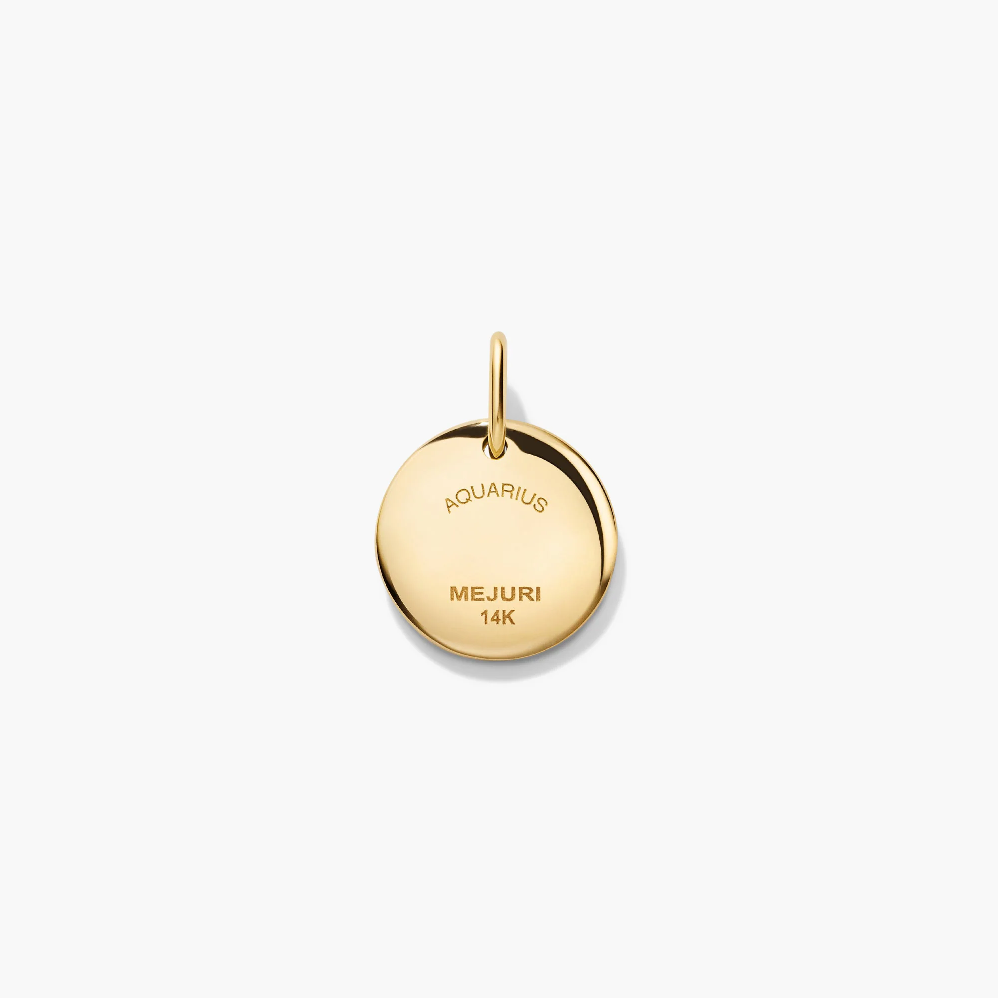 Zodiac Charm Pendant - Image 9